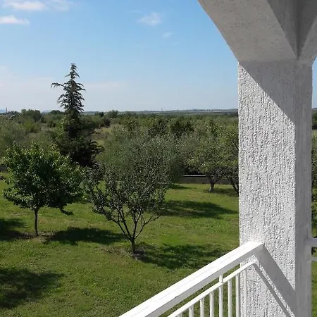 Holiday Kovacevic *