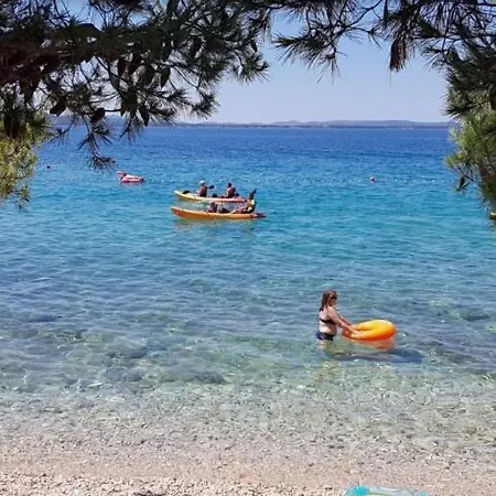 Holiday Kovacevic *